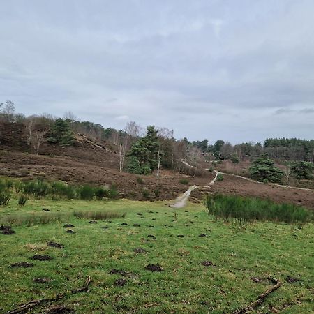 Heuvel 35 Villa Simpelveld Eksteriør billede